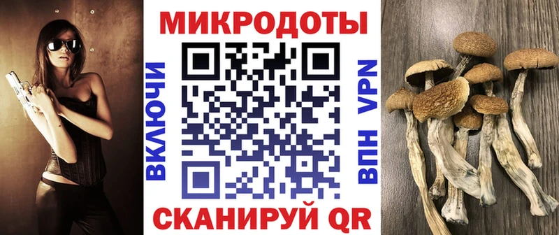 цена наркотик  OMG сайт  площадка телеграм  Богородицк  Псилоцибиновые грибы мицелий 